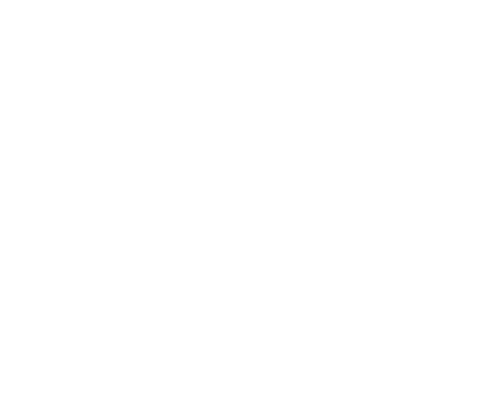 Chateau Grand Bari